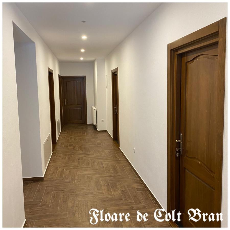 Hotel Floare De Colt-Bran Bran  Esterno foto