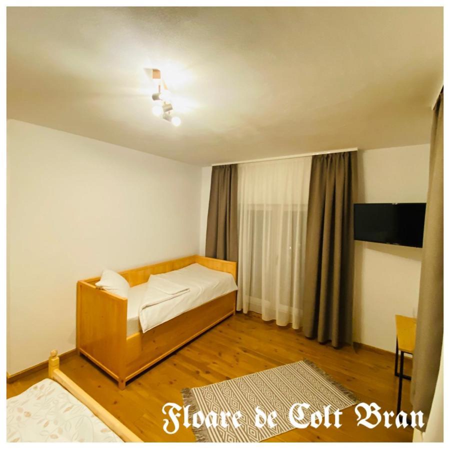 Hotel Floare De Colt-Bran Bran  Esterno foto