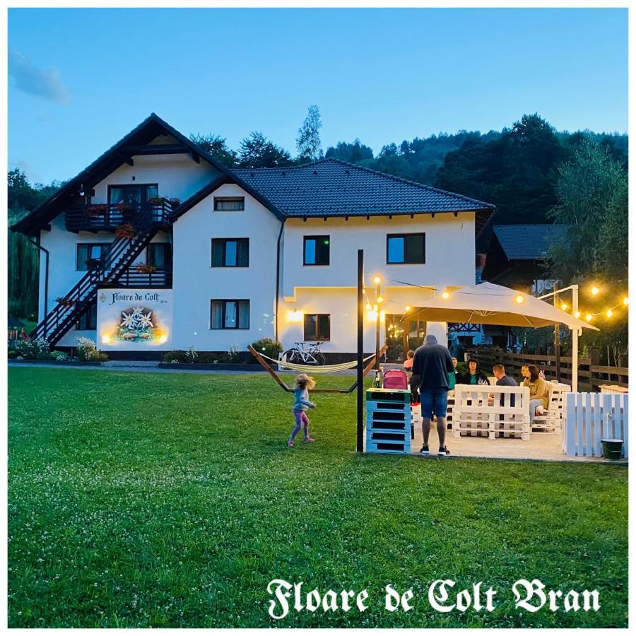 Hotel Floare De Colt-Bran Bran  Esterno foto