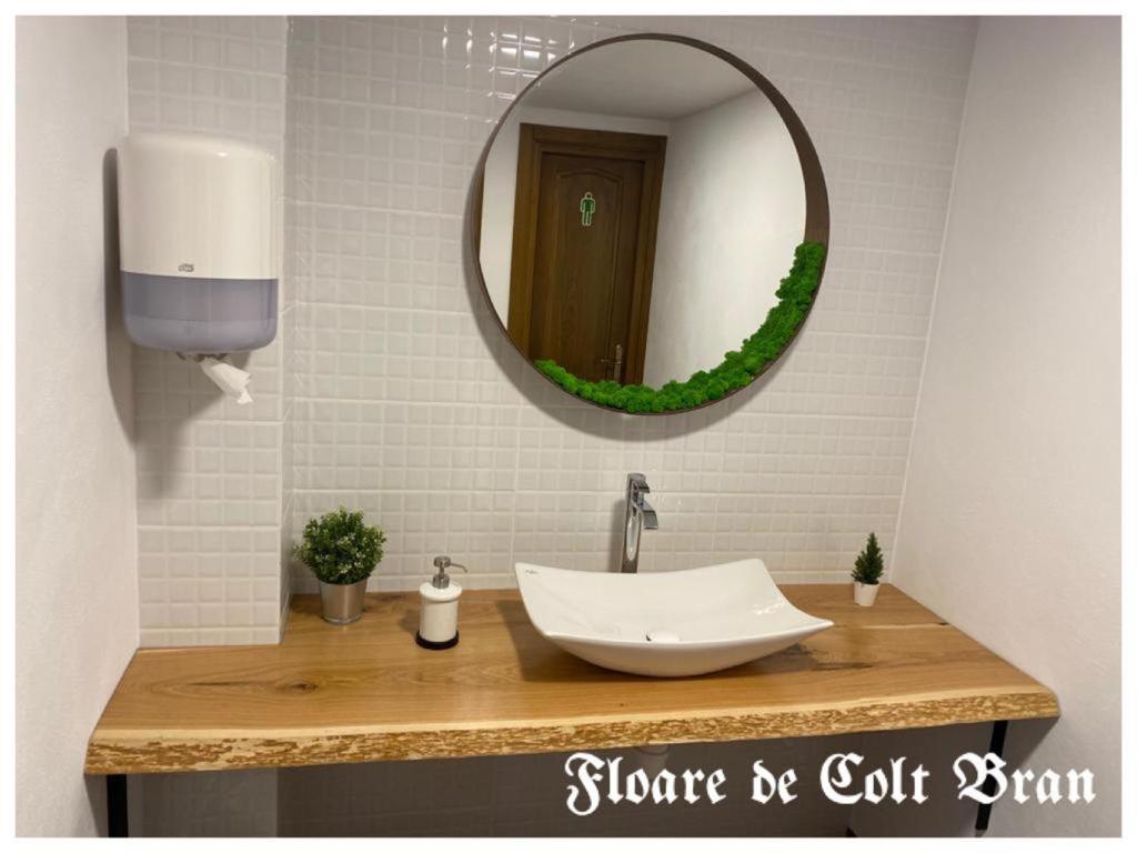 Hotel Floare De Colt-Bran Bran  Esterno foto