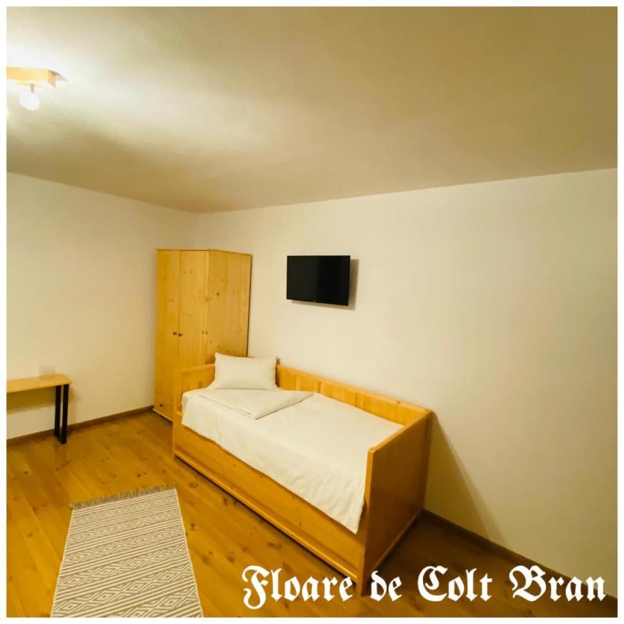 Hotel Floare De Colt-Bran Bran  Esterno foto