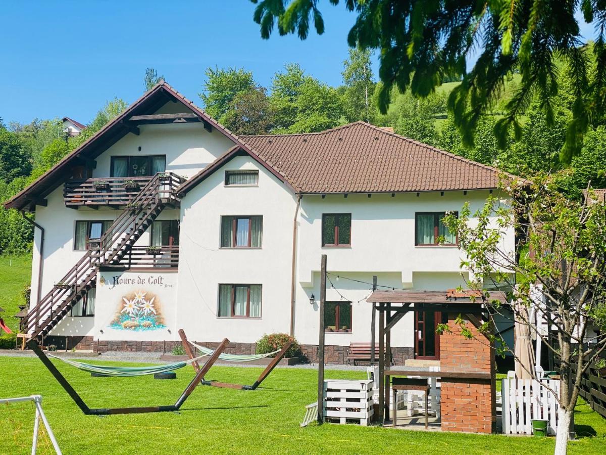 Hotel Floare De Colt-Bran Bran  Esterno foto