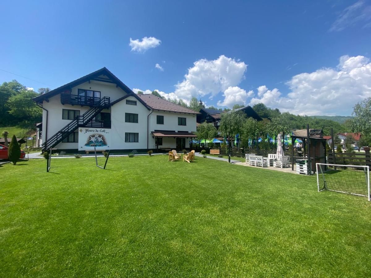 Hotel Floare De Colt-Bran Bran  Esterno foto