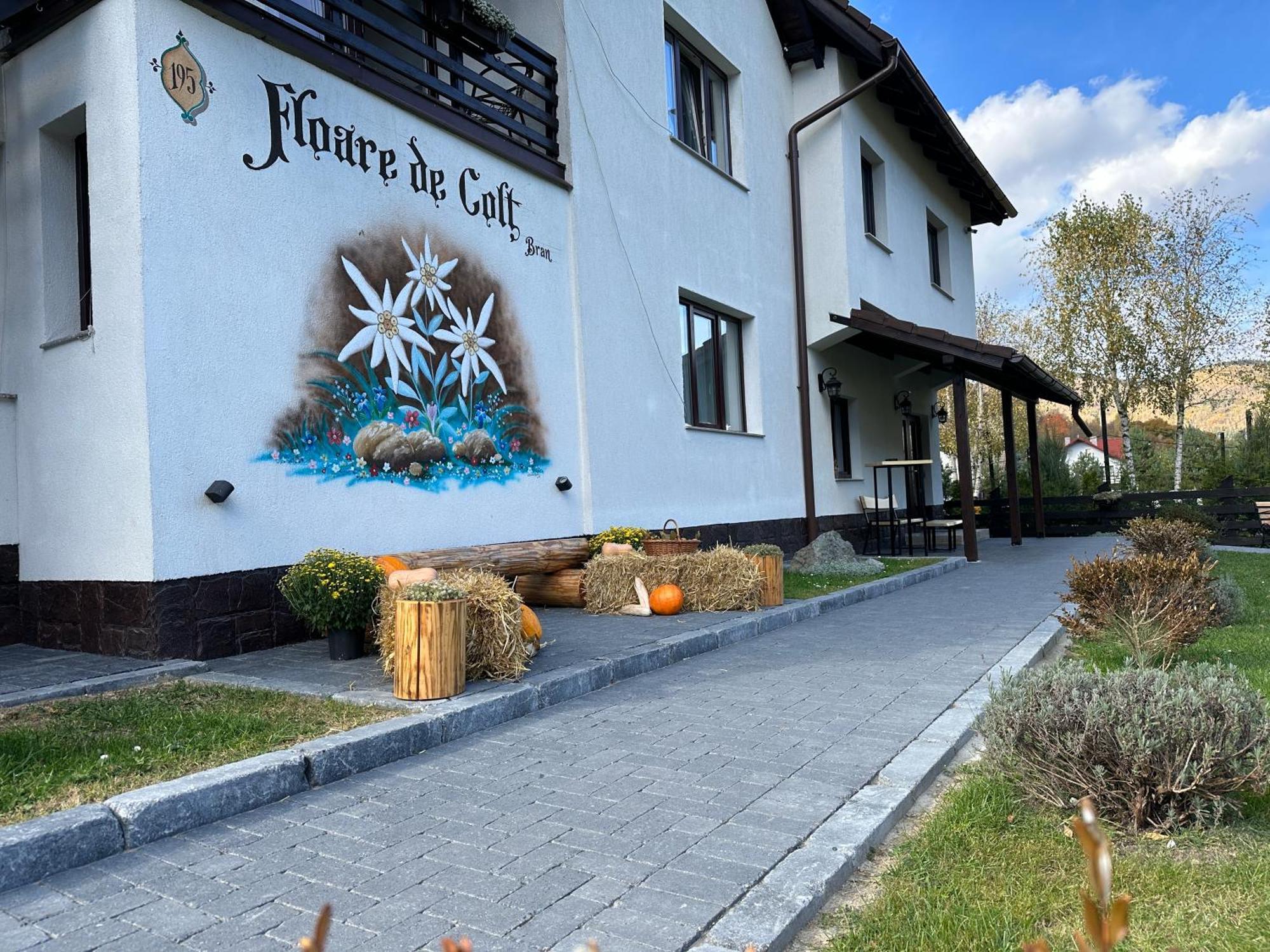 Hotel Floare De Colt-Bran Bran  Esterno foto