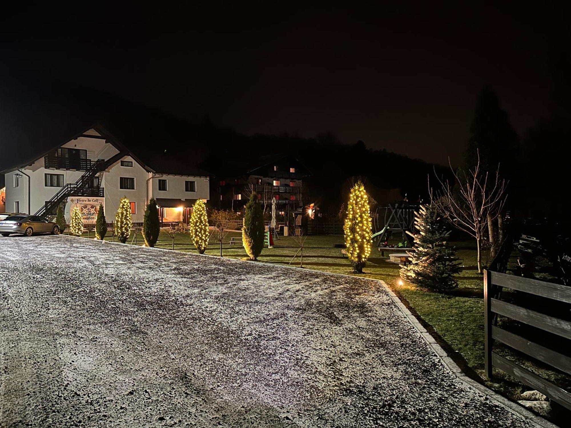 Hotel Floare De Colt-Bran Bran  Esterno foto